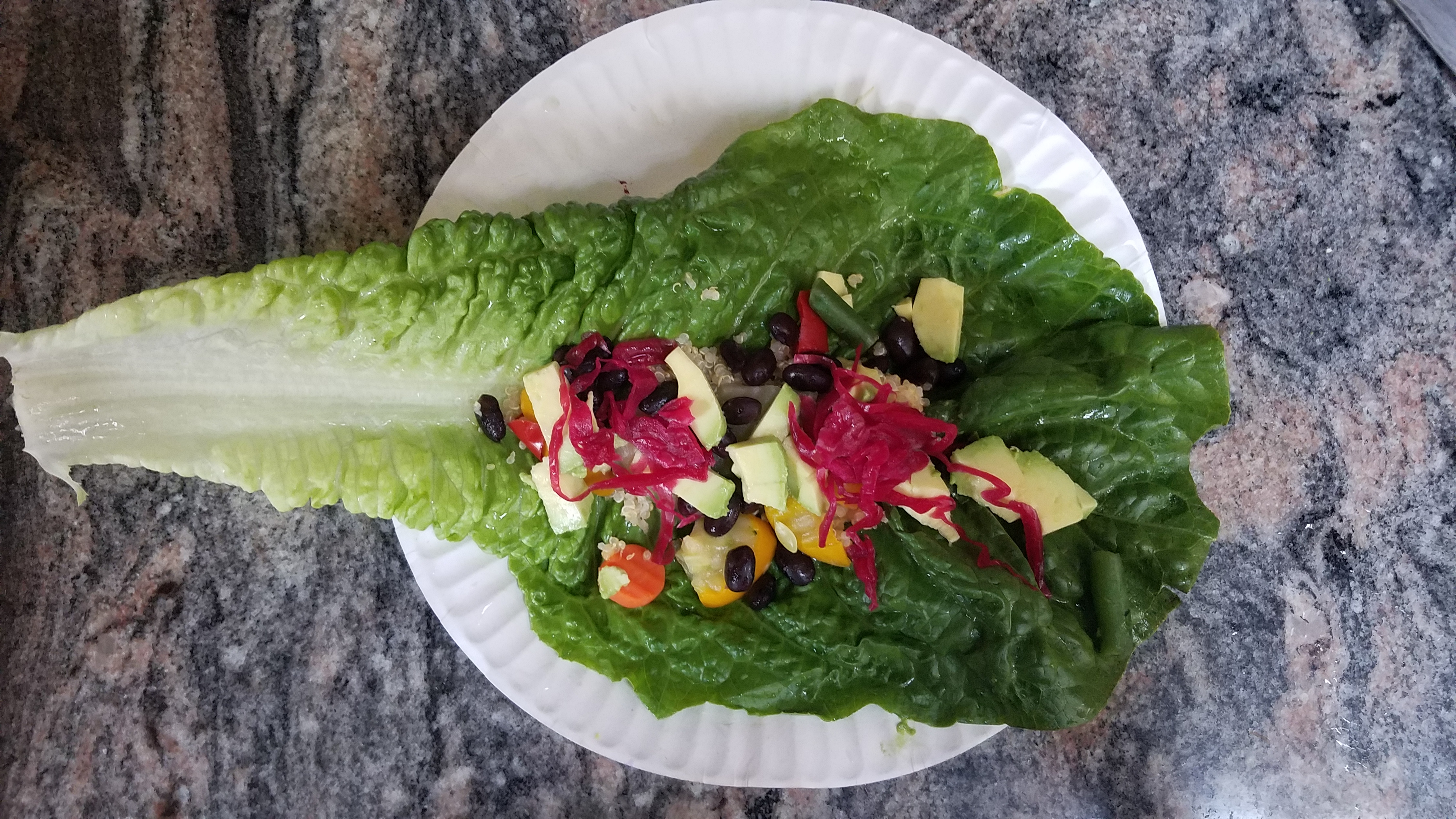 Romaine Plant Based – Protein Wrap
