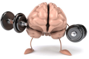 Neuroplasticity and Exercise – Do you need to change up your routine to maintain the same mental Buzz?