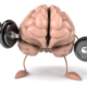 Neuroplasticity and Exercise – Do you need to change up your routine to maintain the same mental Buzz?