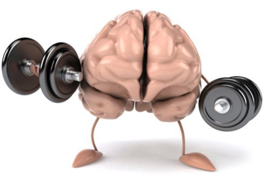 Neuroplasticity and Exercise – Do you need to change up your routine to ...