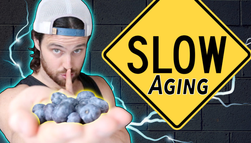 How Phytonutrient / Antioxidant  Rich Foods Can Slow the Aging Process