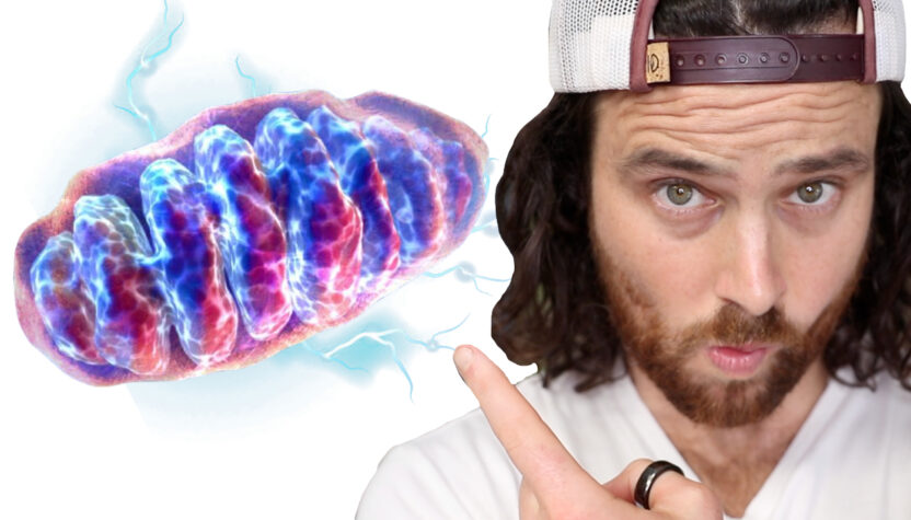 The Secret to MORE Health & Longevity | Your Mitochondria