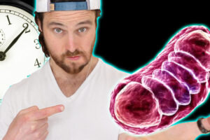 Intermittent Fasting May Be Magic for Mitochondria Function | See What it Does