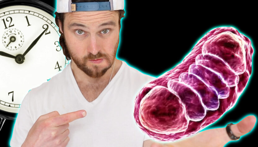 Intermittent Fasting May Be Magic for Mitochondria Function | See What it Does