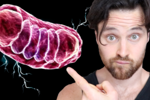 Mitochondria |  The Secret to a Strong Immune System?