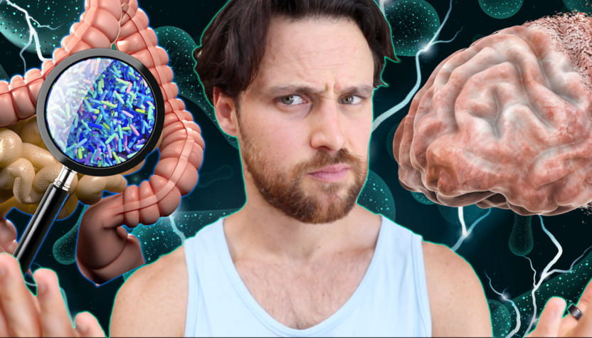 The Gut Microbiomes Role in Brain Development | What You Can Do