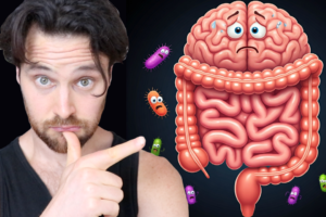 How Gut Microbiome Dysbiosis Triggers the Stress Response | What You Can Do