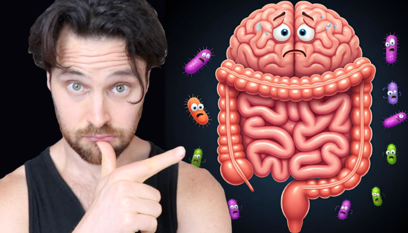 How Gut Microbiome Dysbiosis Triggers the Stress Response | What You Can Do