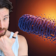 This Pathway May be the Secret to Mitochondria Health | How to Turn it ON