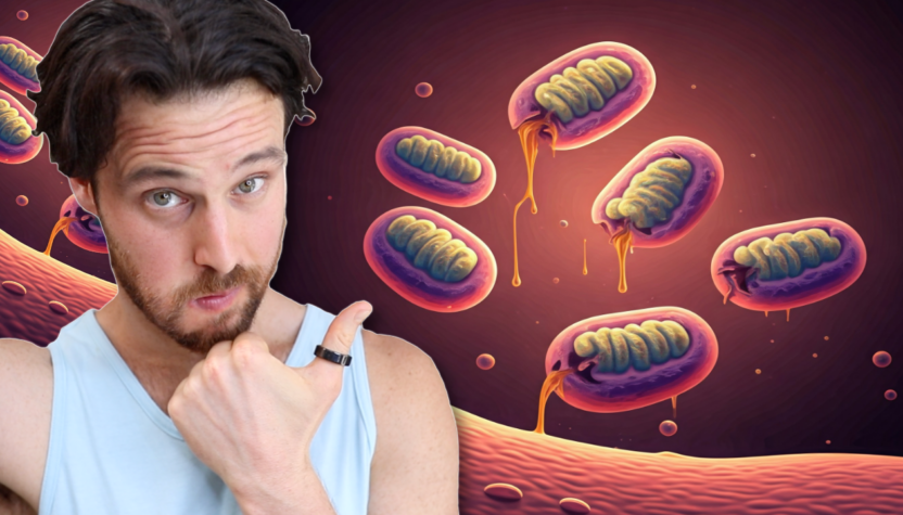 How Your Gut Bacteria & Mitochondria Work Together to Prevent Alzheimers